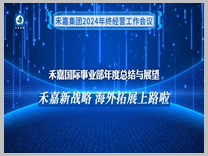 禾嘉国际事业部《禾嘉新战略,海外拓展上路啦》年度汇报